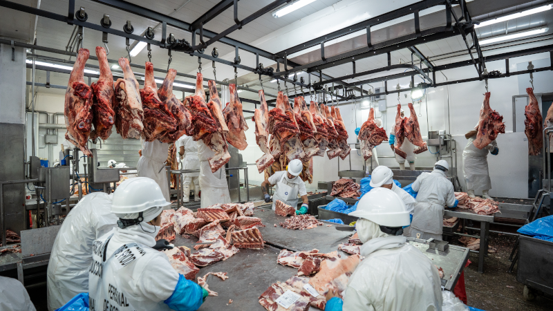 Meatex